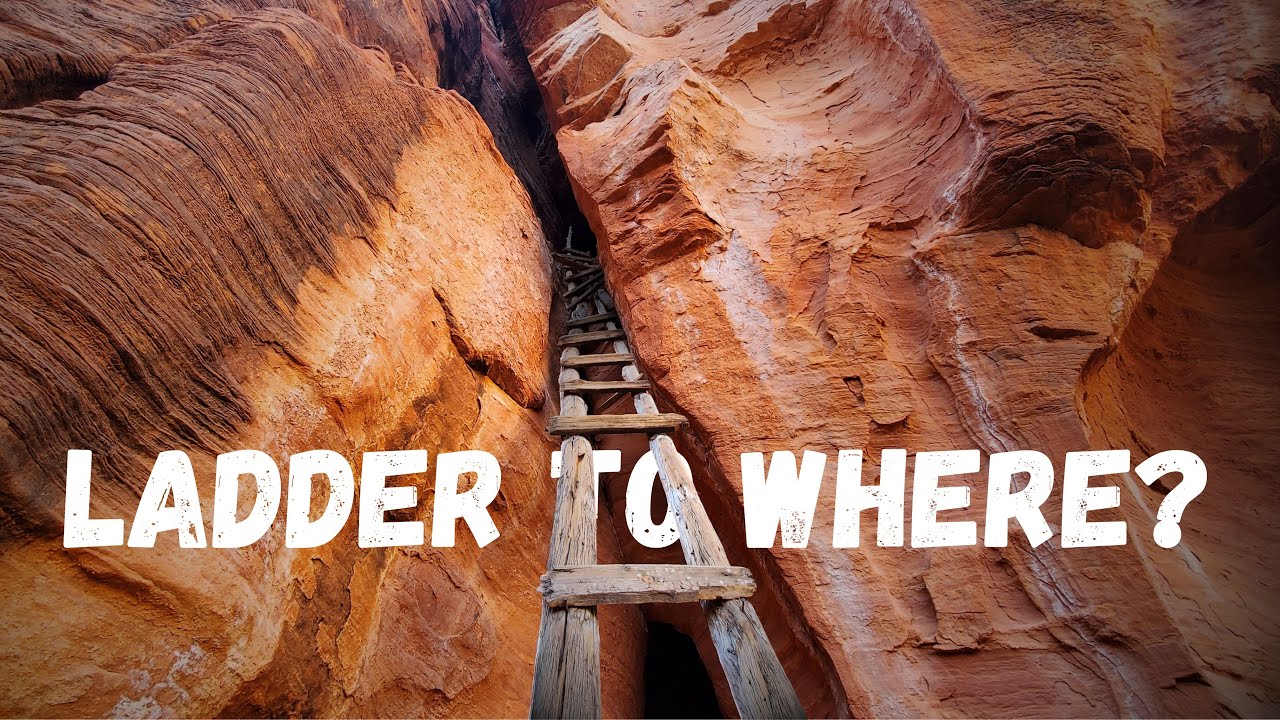 I Could Not Solve The Mystery of This Ladder