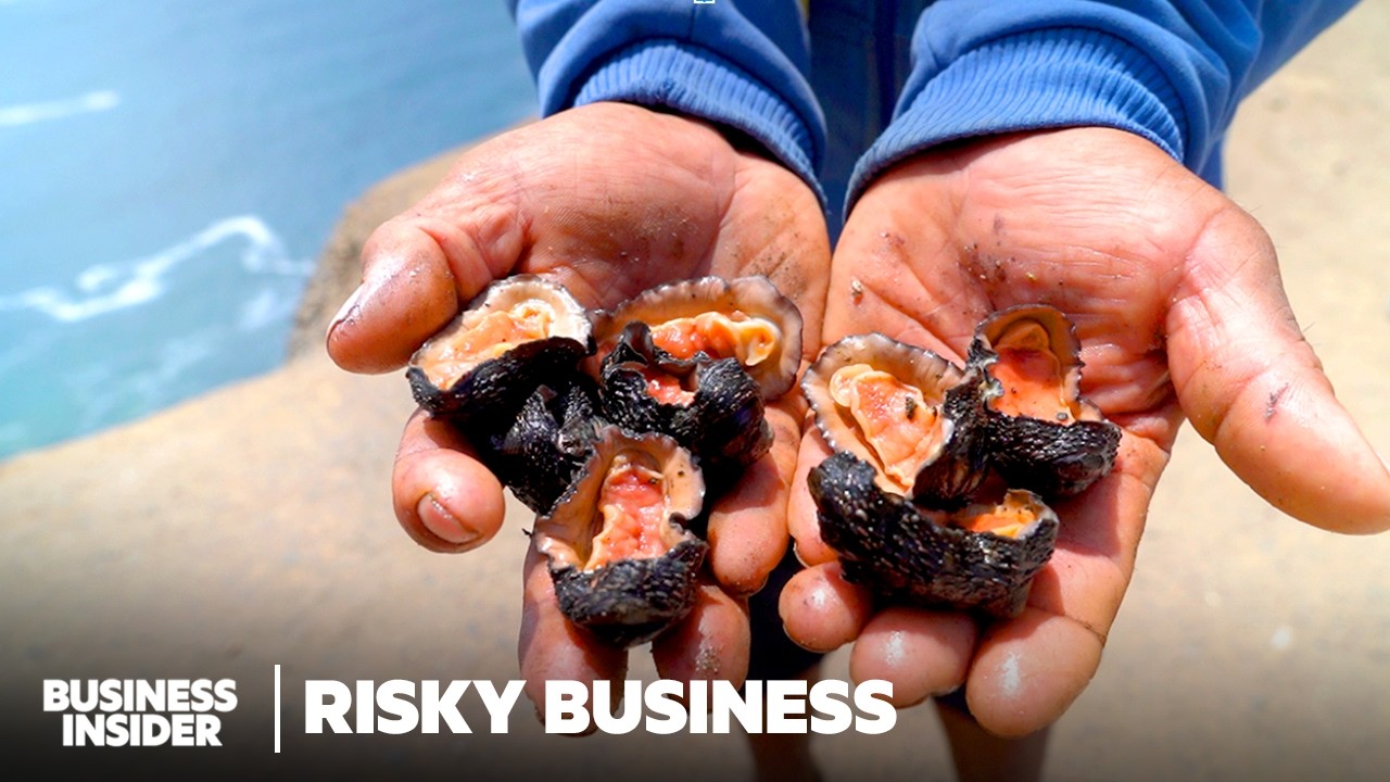 The Risks Behind Finding The World's Rarest Delicacies | Risky Business | Business Insider