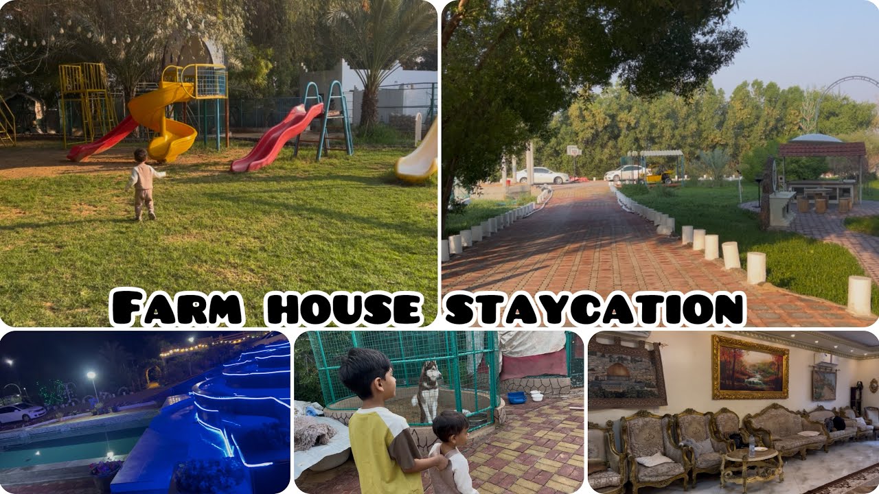 A beautiful home stay at Helio Farm house | farm house Ajman UAE | unforgettable moments 