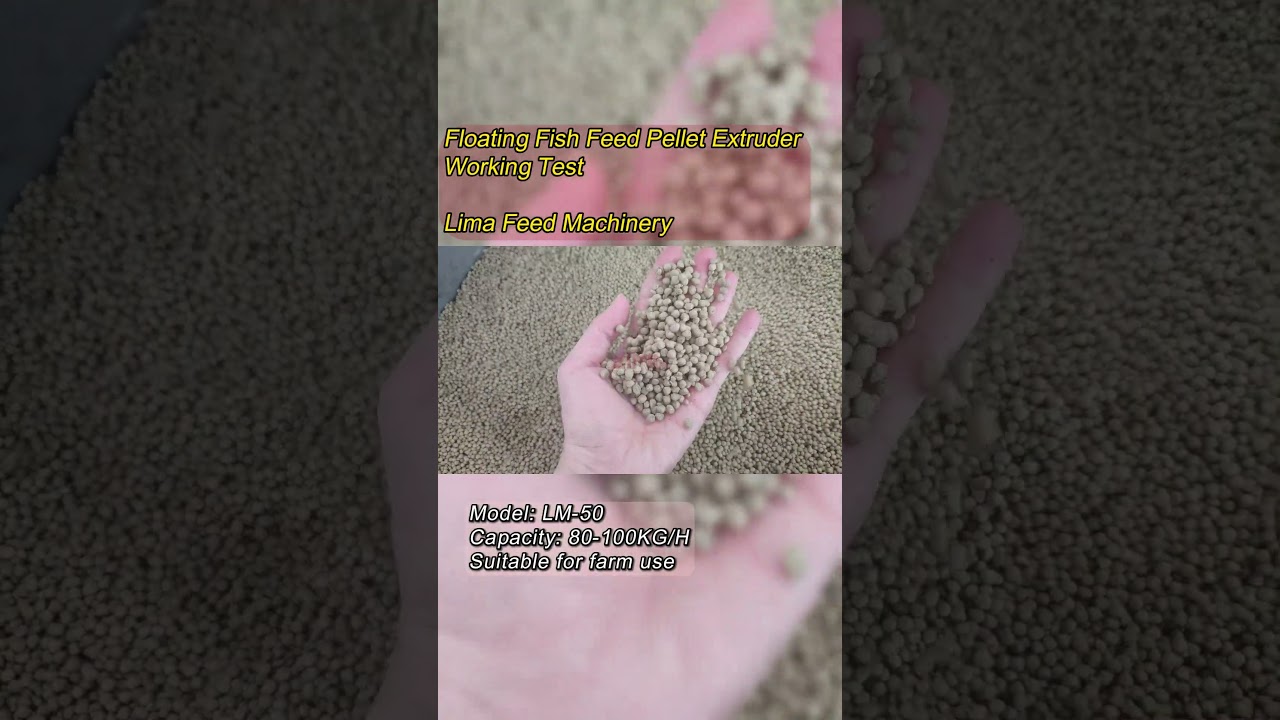 Floating Fish Feed Pellet Extruder Working Test - 90KG/H