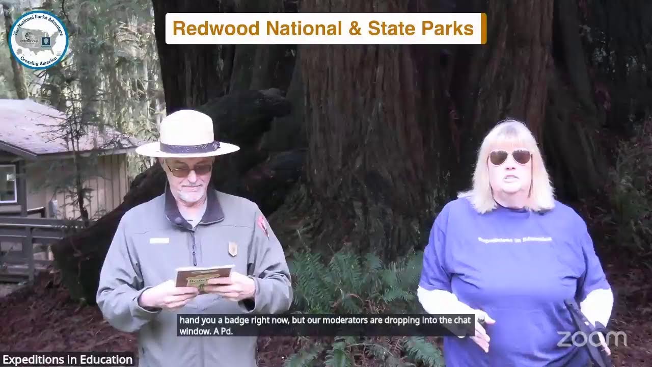 Crossing America Redwood