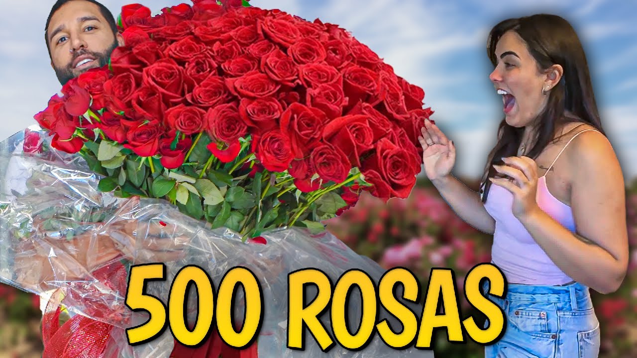 FIZ UMA SURPRESA PRA ELA COM UM BUQUÊ DE ROSAS GIGANTE 😱