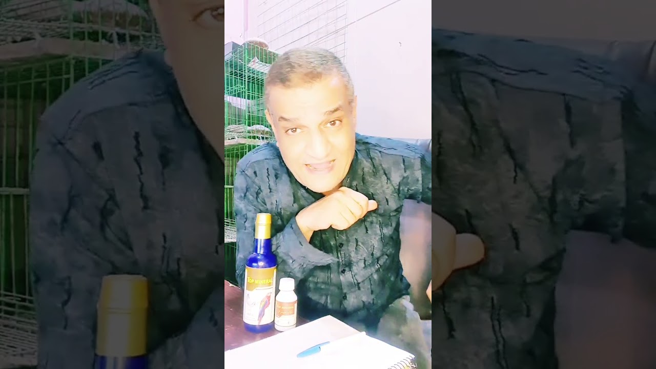 زيادة إنتاج البيض وزيادة التخصيب ونمو الزغاليل القوي بطريقة واحدة #حمام #عصافير #طيور #pigeon