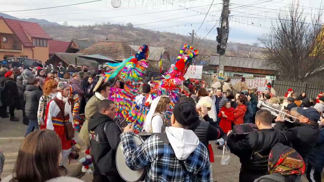 Caprele din Berzunți - Dragomir & Butucaru 2024