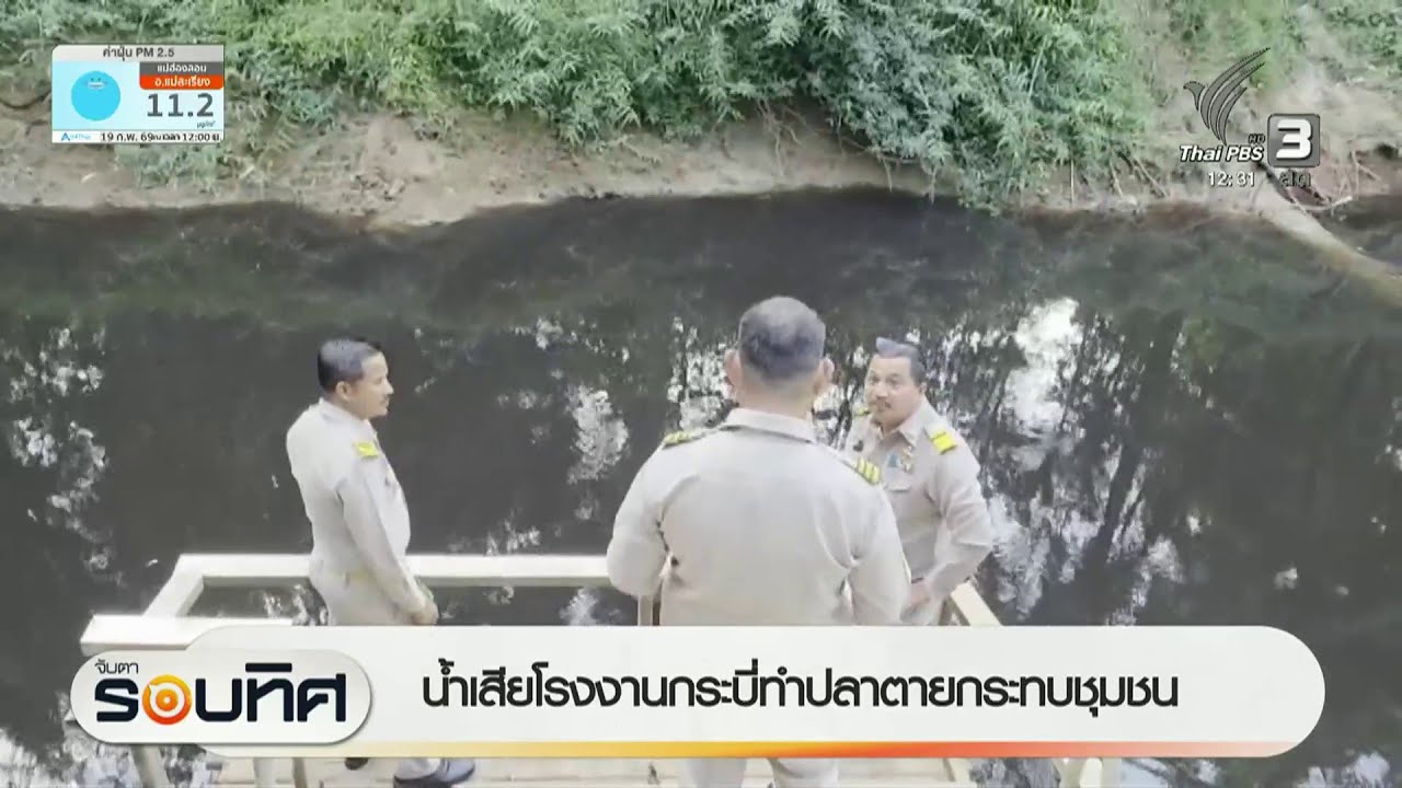 น้ำเสียโรงงานกระบี่ ทำปลาตายกระทบชุมชน