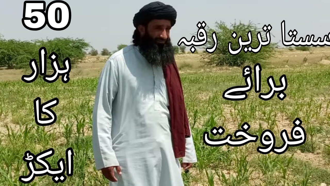 Agriculture Cheap Land For Sale 😱اتنا سستا رقبہ 50ہزار کا آکڑ