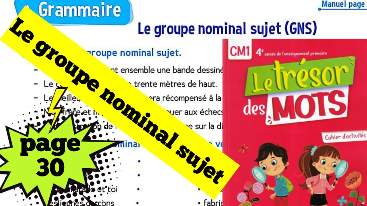 Le groupe nominal sujet ( page 30 ) le trèsor des mots CM1 ( cahier d'activités)