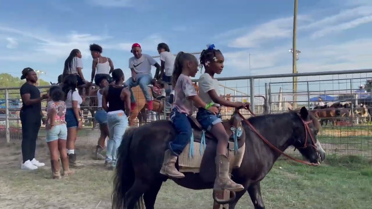 Cayden & Cobie’s Rodeo Birthday Bash 🐎🎈
