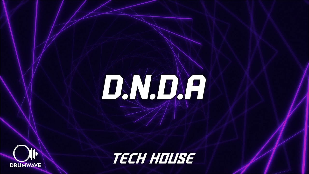 Haechi - D.N.D.A