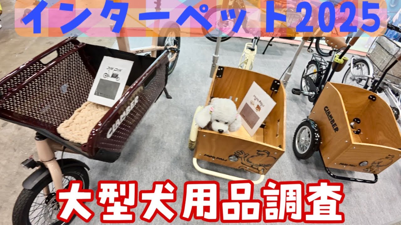 【インターペット2025】今年の大型犬用品を調査して来ました
