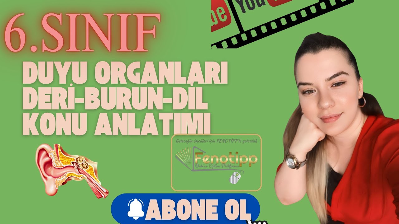 6.sınıf | Fen Bilimleri | Deri, Burun, Dil Konu Anlatımı