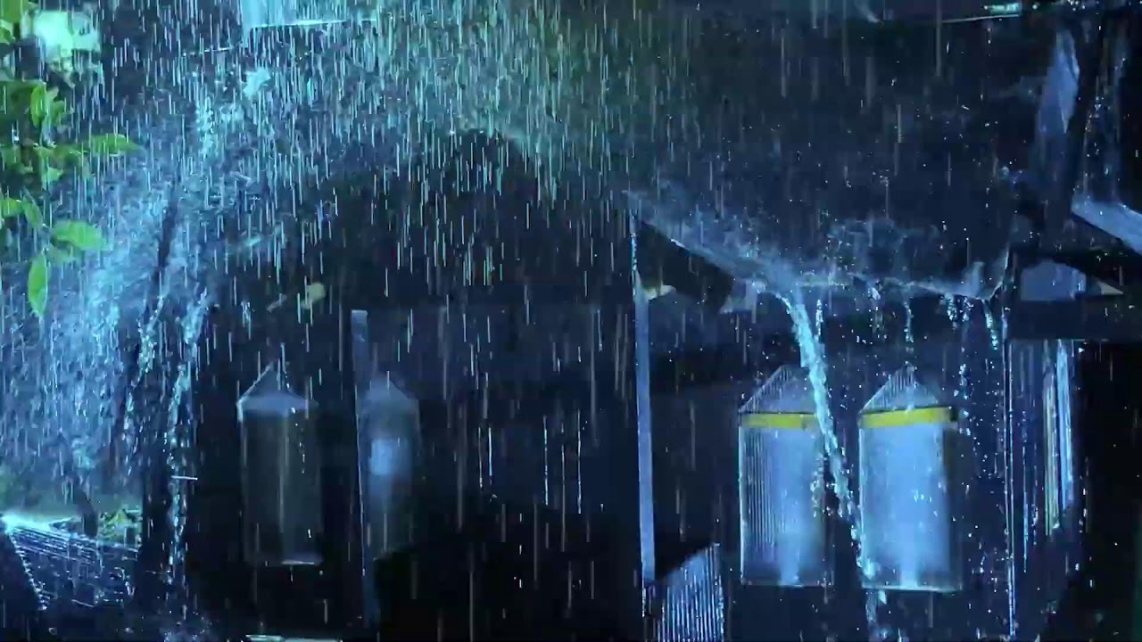 Drift to Sleep with Soothing Thunderstorm Rain