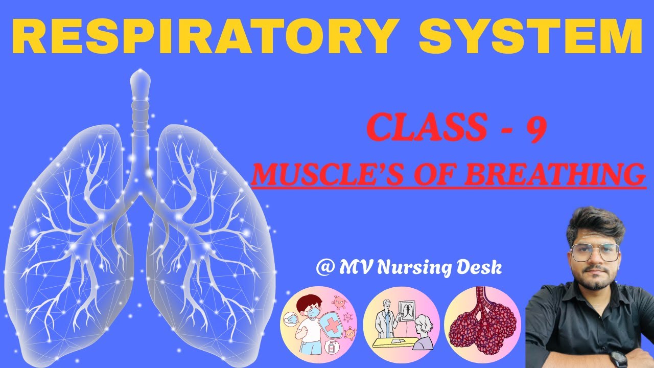 Muscle of Breathing | Diaphragm | intercostal muscle | class - 9 | 
