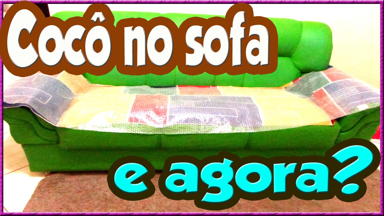 🔴 Meu cachorro faz xixi e coc&ocirc; em cima do SOF&Aacute; / CAMA , O QUE FAZER?