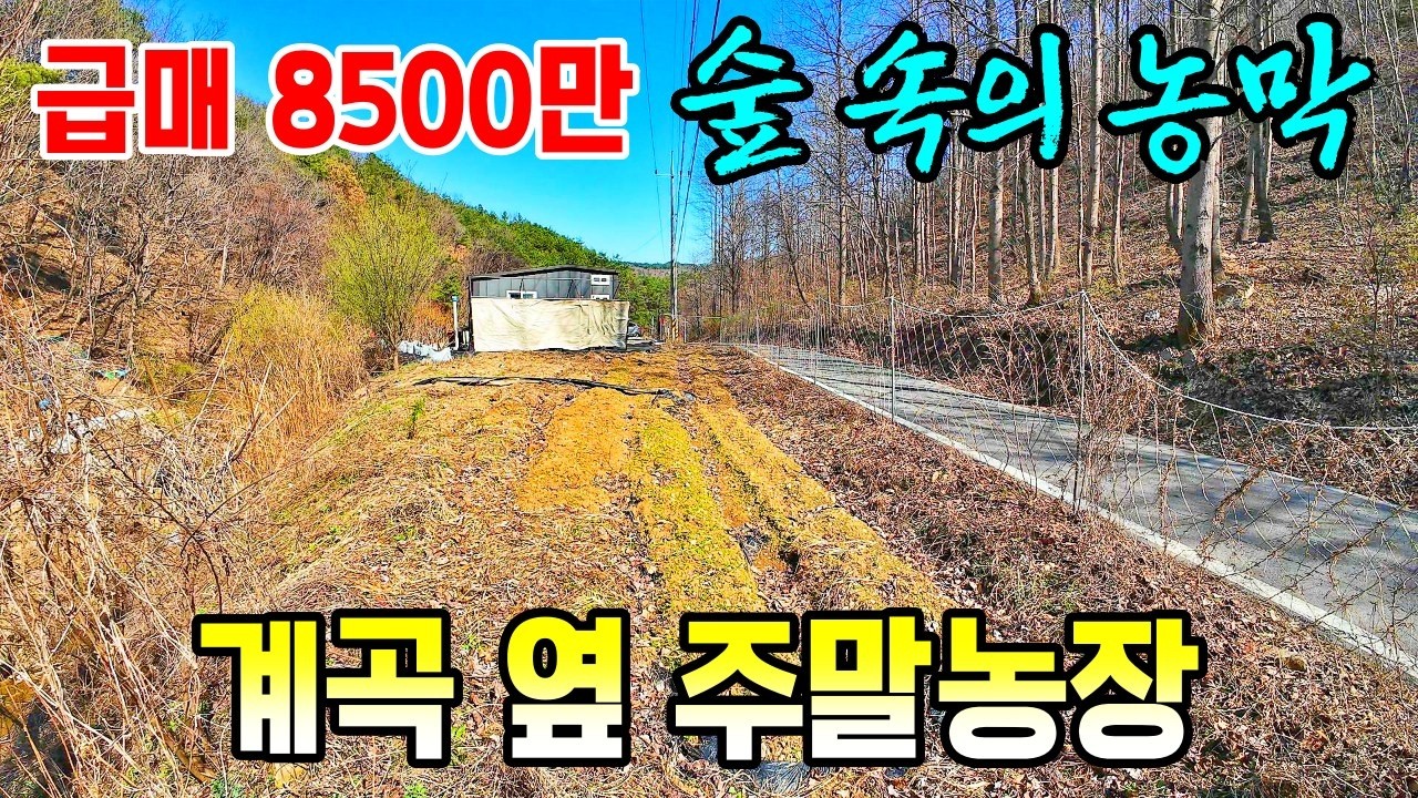 (급매 8500만) 계곡 옆 복층형 농막 주말농장 매매  산 속에 있어조용하고 공기 좋은 충남 공주부동산 신풍면 토지매매 ~행운집땅부동산tv  토지 농가주택 전원주택 매매