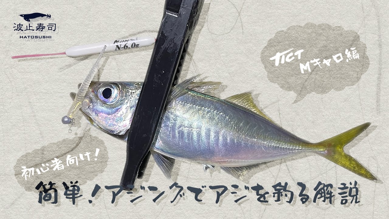 【初心者向け】簡単！アジングでアジを釣る解説（Mキャロ編）【車中飯】