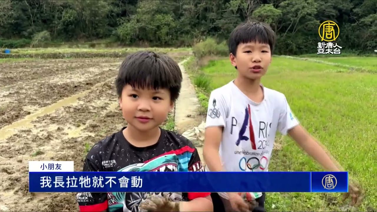 牛犁作畫大地為布 美里庄牛耕文化嘉年華登場