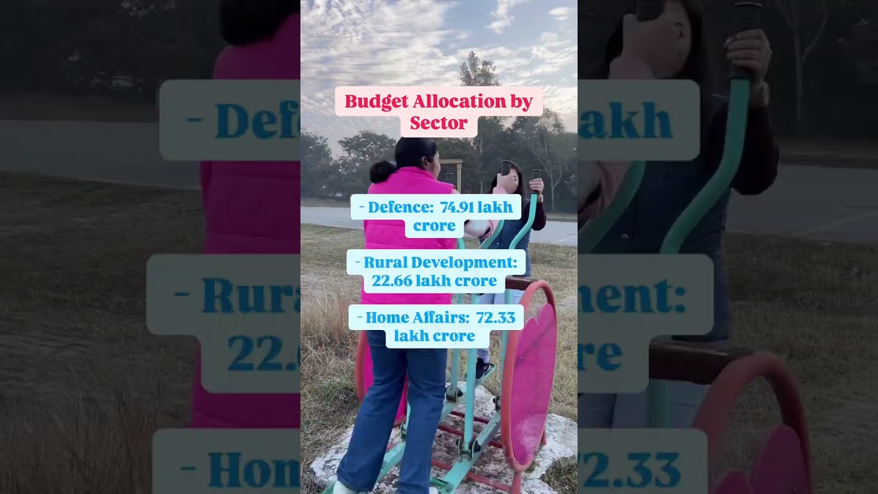 Budget 2025 💥 Huge Sector Allocation