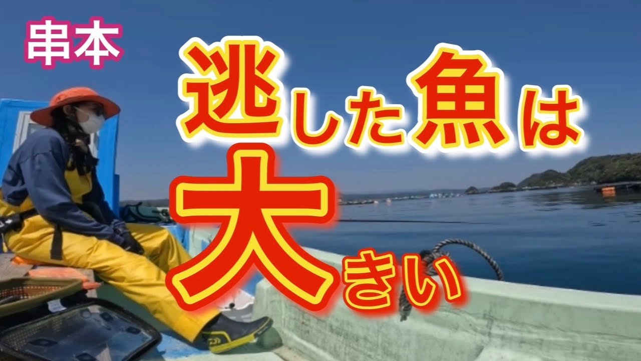 【串本カセ】ジャンボイサキ狙いで強烈なアタリ‼️絶望のバラシとチャリコ祭り2026.4.3⭐︎谷口渡船
