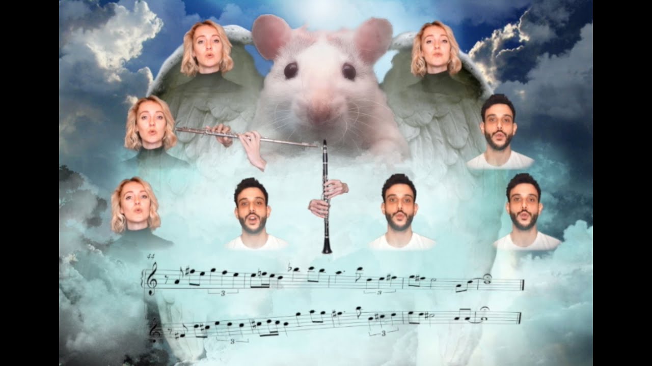 SAM GREENFIELD | RAT PALACE - THE PRETTY VERSION FT. PHOEBE KATIS