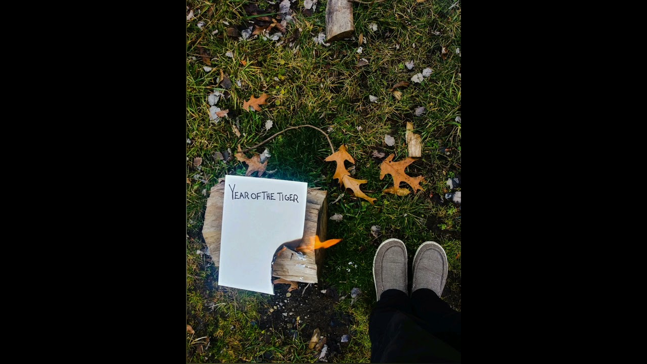 TJ McDevitt - Year Of The Tiger (Full Album) #indie #indiemusic #indiefolk #acoustic
