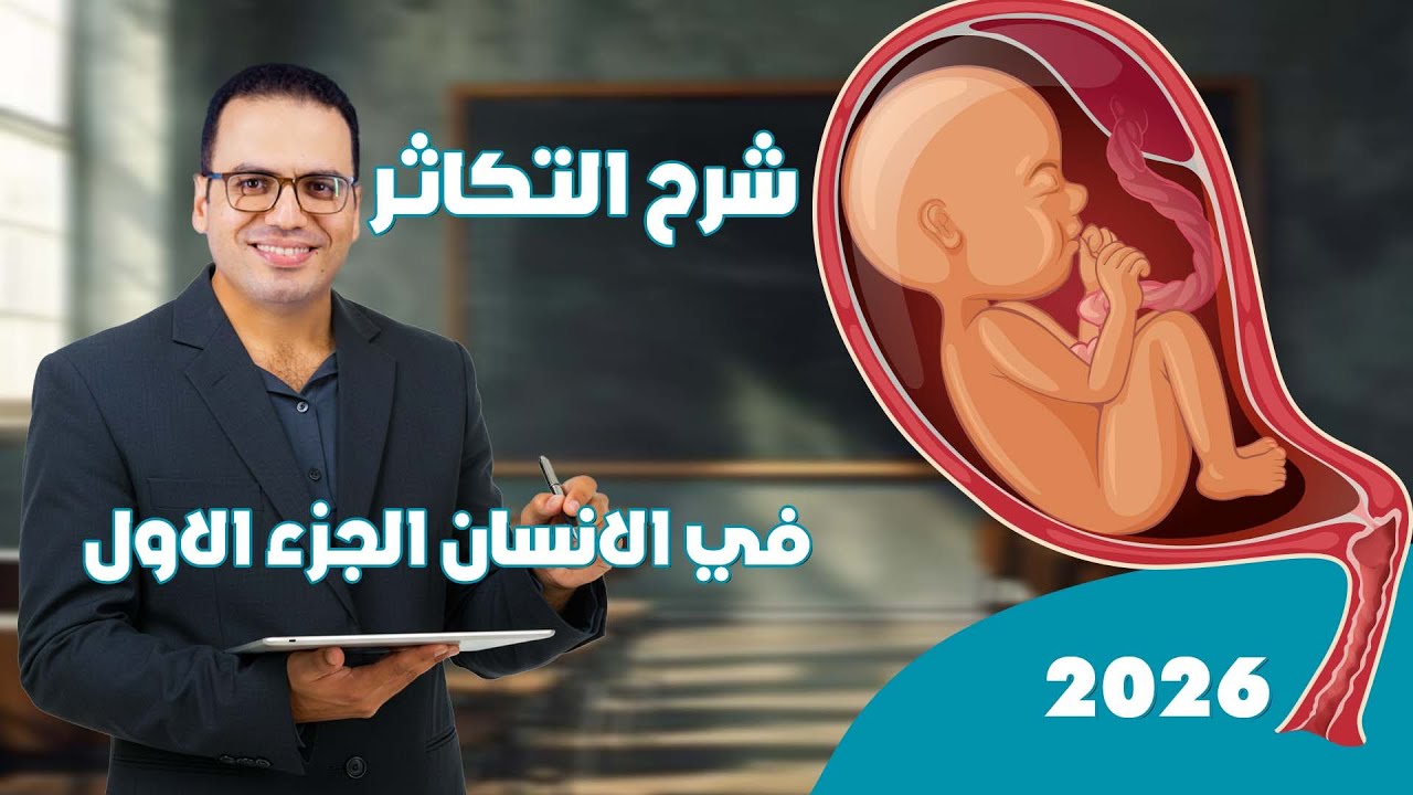 شرح التكاثر في الانسان ( الجهاز التناسلي الذكري - مراحل تكوين الحيوانات المنوية -  قطاع في الخصية)