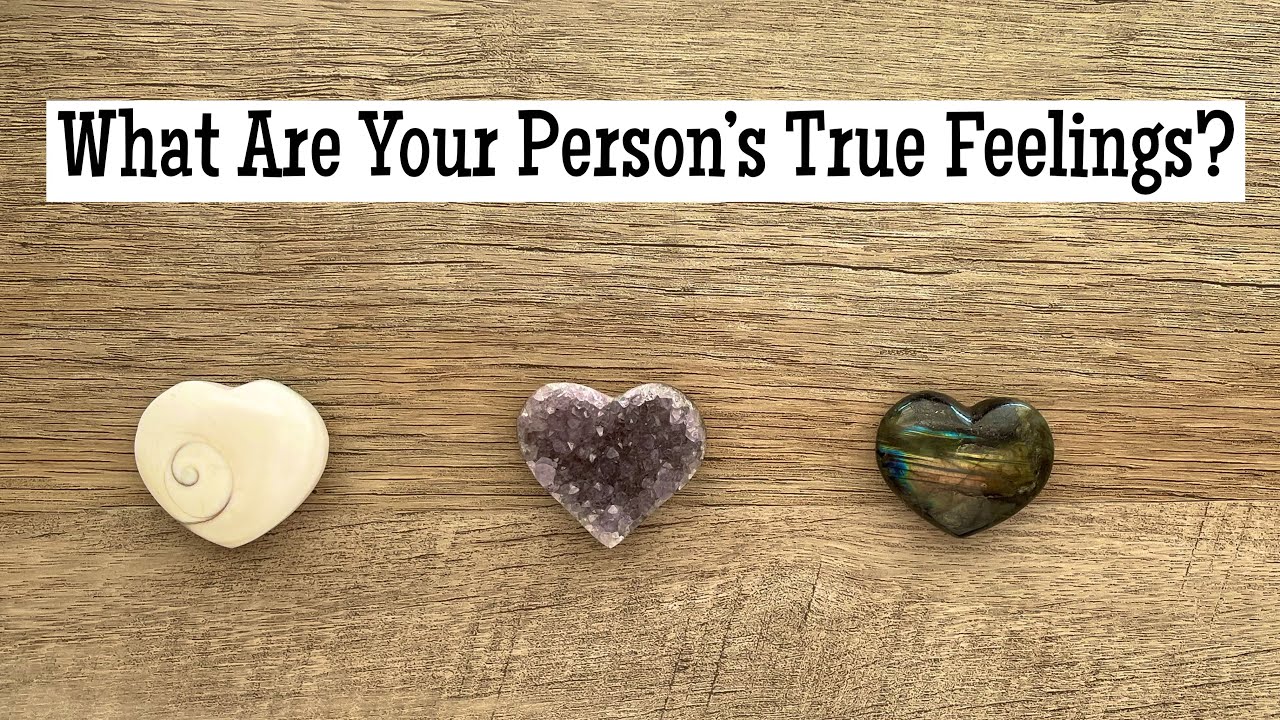 Pick A Card. What Are Your Person’s True Feelings For You? 💖 Timeless Love Reading. 💖💖