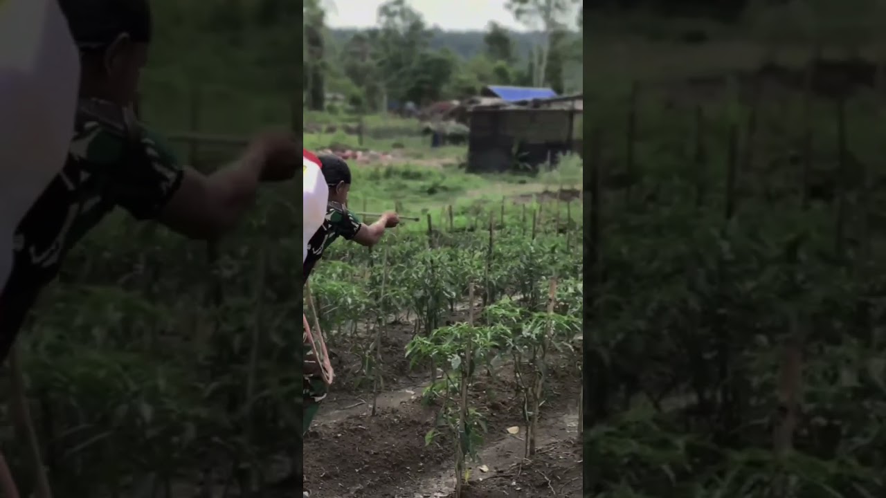 Cintai pekerjaanmu 💪🏻 