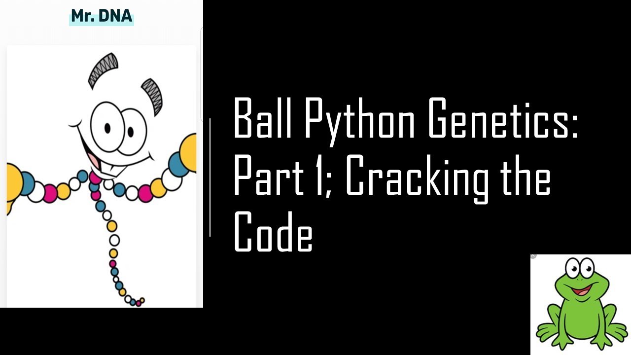 Ball Python Genetics; Part 1 Cracking the Code