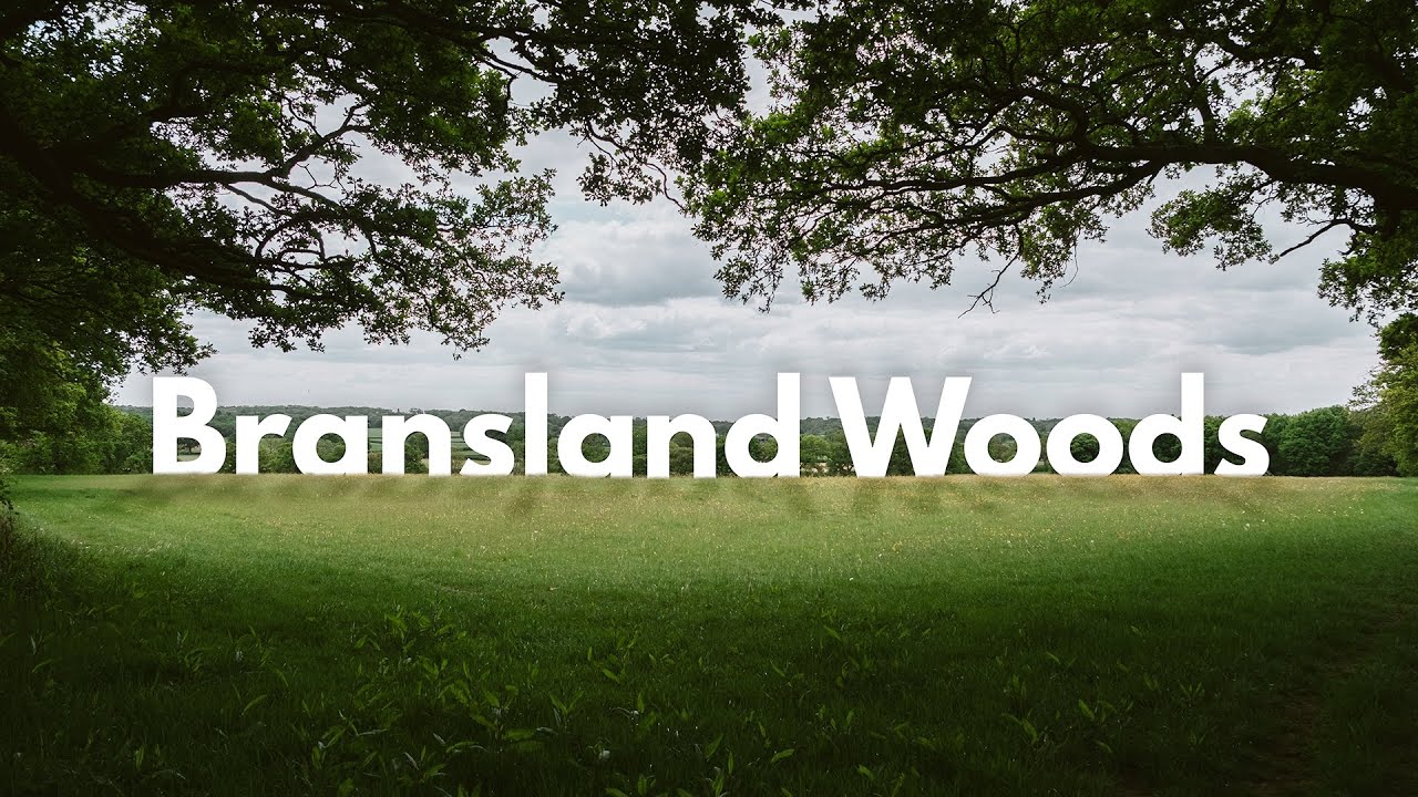 Brandsland Woods - Surrey | Fujifilm XT-5 | 4K Cinematic