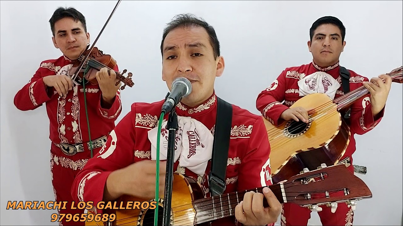 MI QUERIDO VIEJO