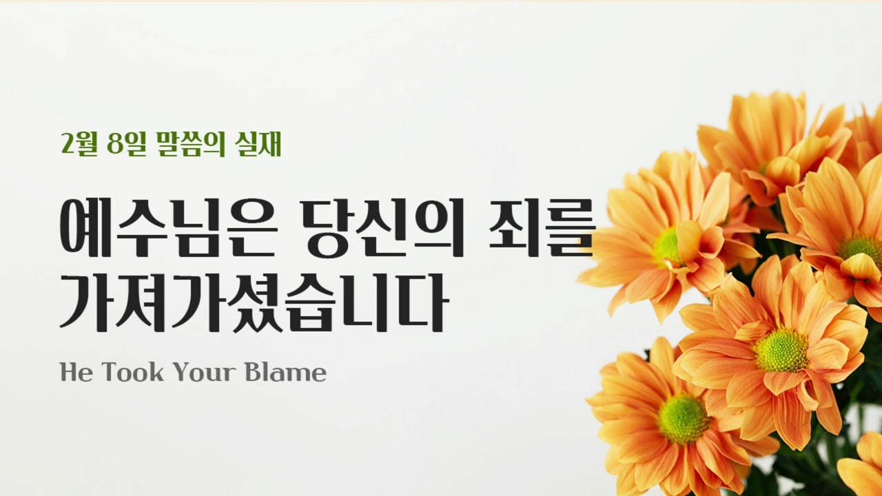 은혜의빛 | 260208 예수님은 당신의 죄를 가져가셨습니다 #말씀의실재 Rhapsody of Realities Korean
