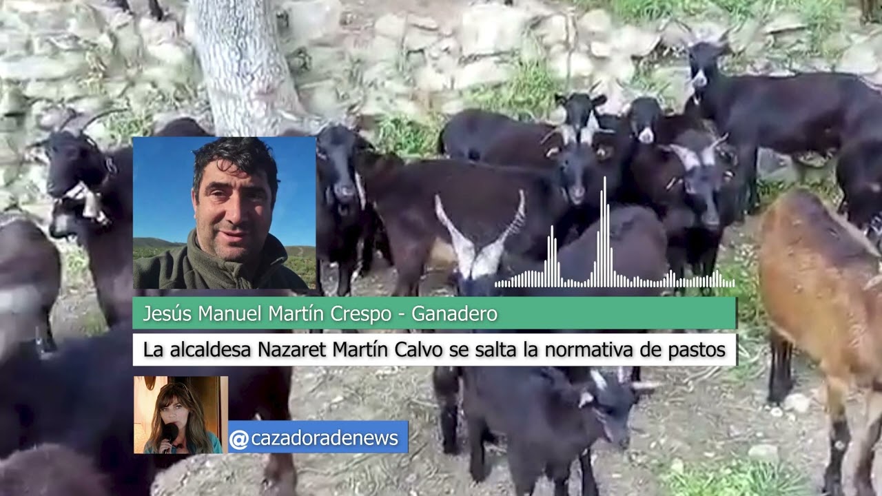 PROBLEMAS ENTRE JESUS MARTIN CRESPO Y NAZARET MARTIN CALVO