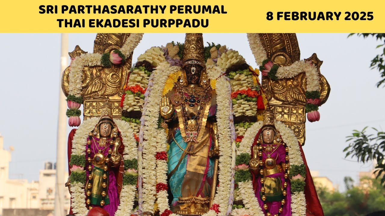 Bhishma Ekadasi | Sri Parthasarathy Perumal Periya Mada Veedhi Purappadu