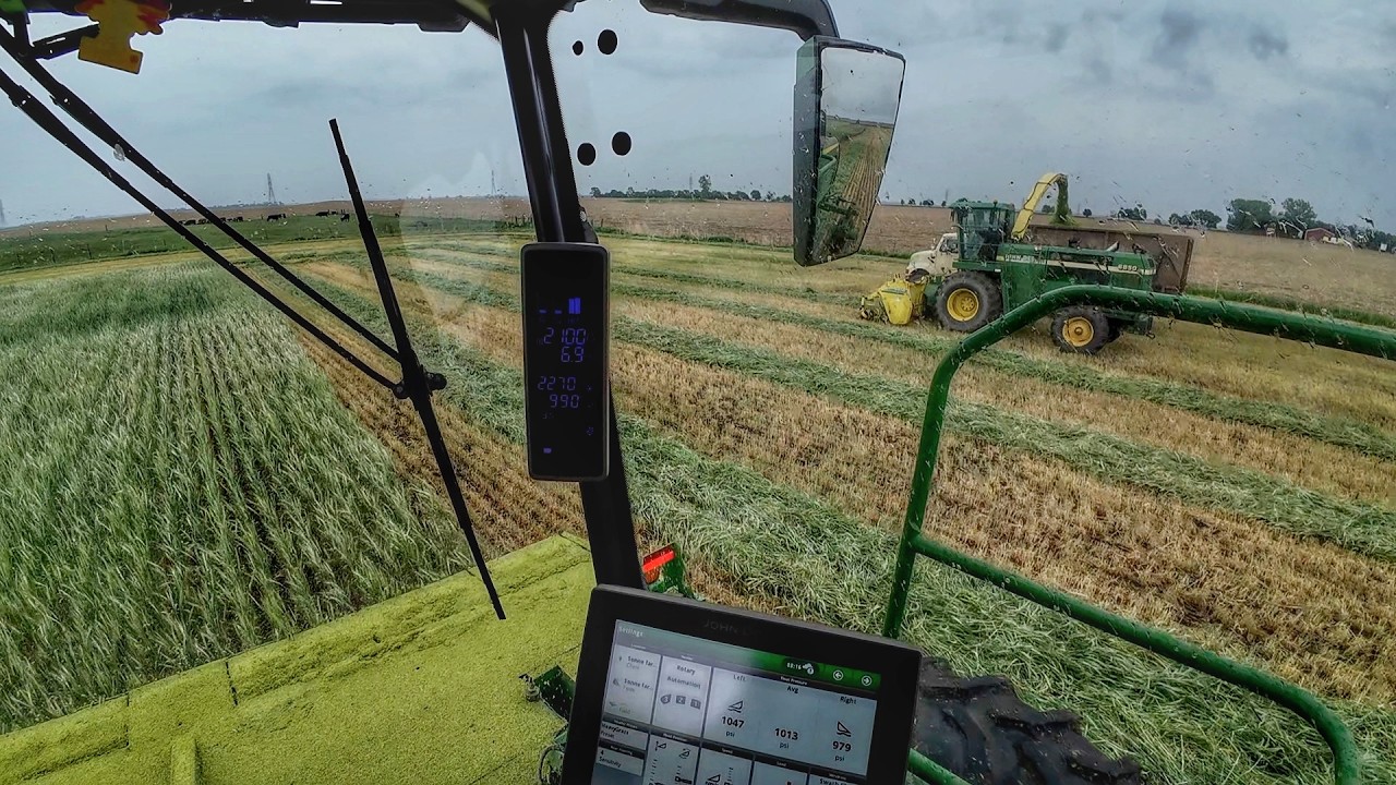 Chopping Rye in the Rain