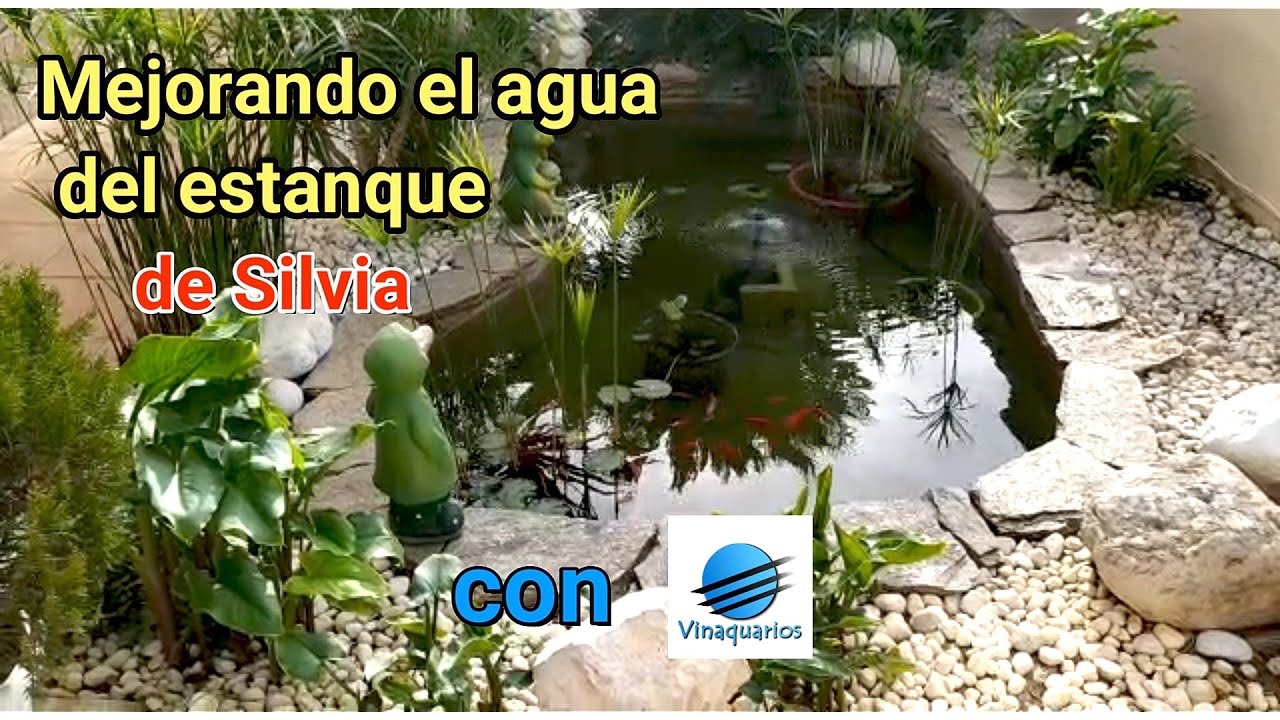 Mejorando el agua del Estanque de Silvia con Vinaquarios