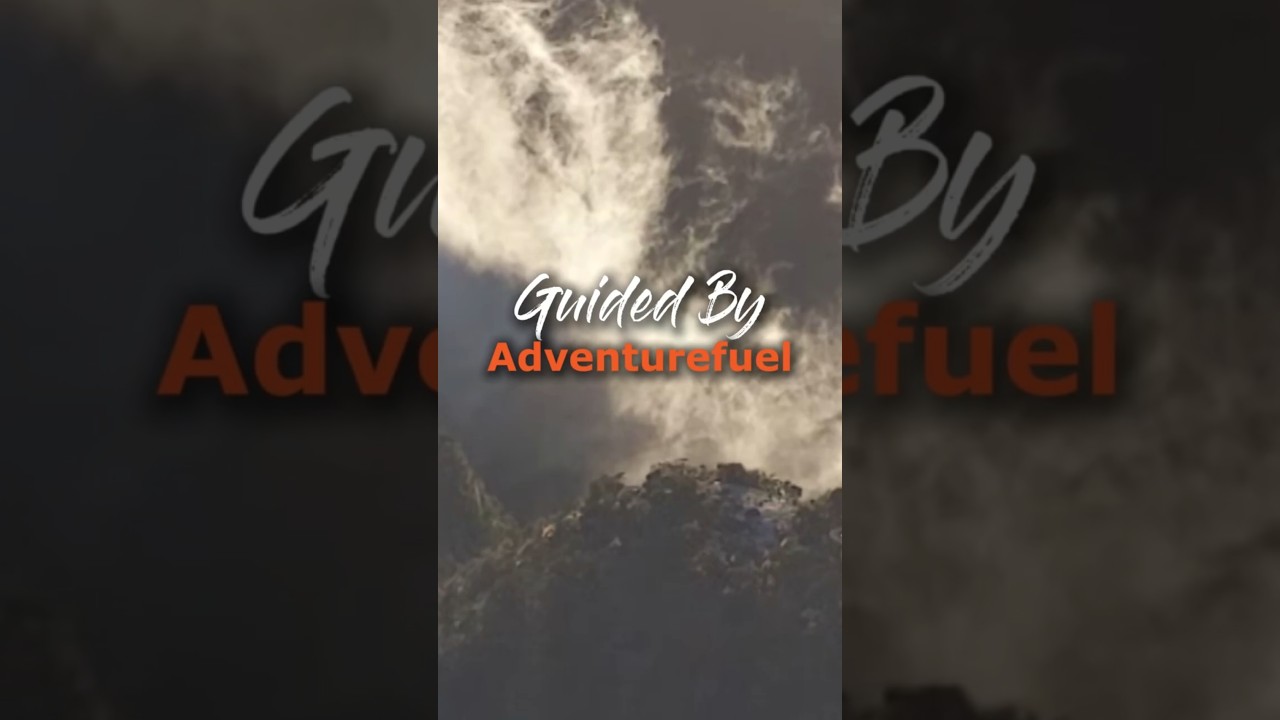The Perfect New Zealand Mountain Bike Trip Teaser - Guided by Adventurefuel #mtb #newzealand