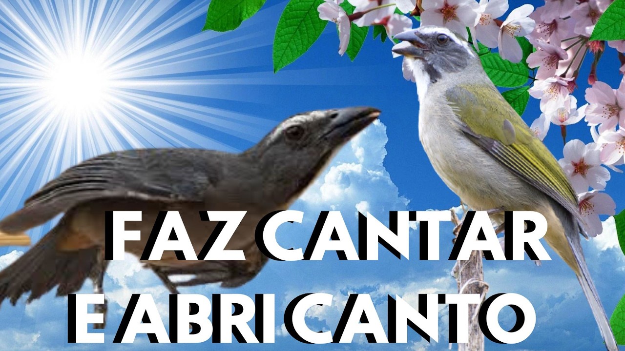 Trinca ferro cantando para esquentar trinca ferro frio 💥Áudio para ESQUENTAR rápido
