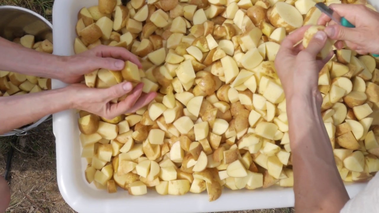 Bylo nebylo, prvn&iacute; česk&yacute; klimakemp