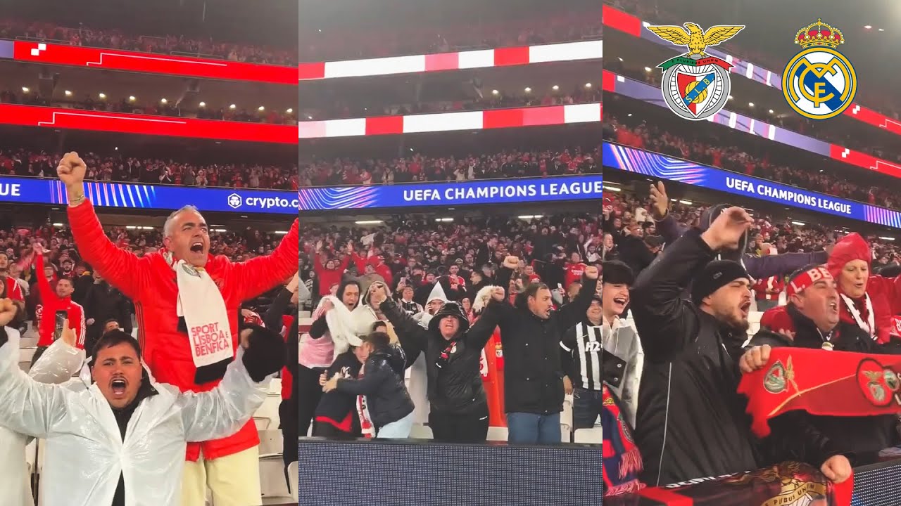 Benfica Fans EXPLODE at the Estádio da Luz After Beating Real Madrid
