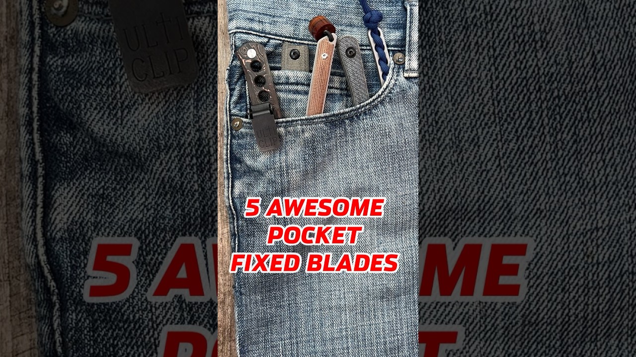 5 Awesome Pocket Fixed Blades! #edc #youtubeshorts #shorts #knife