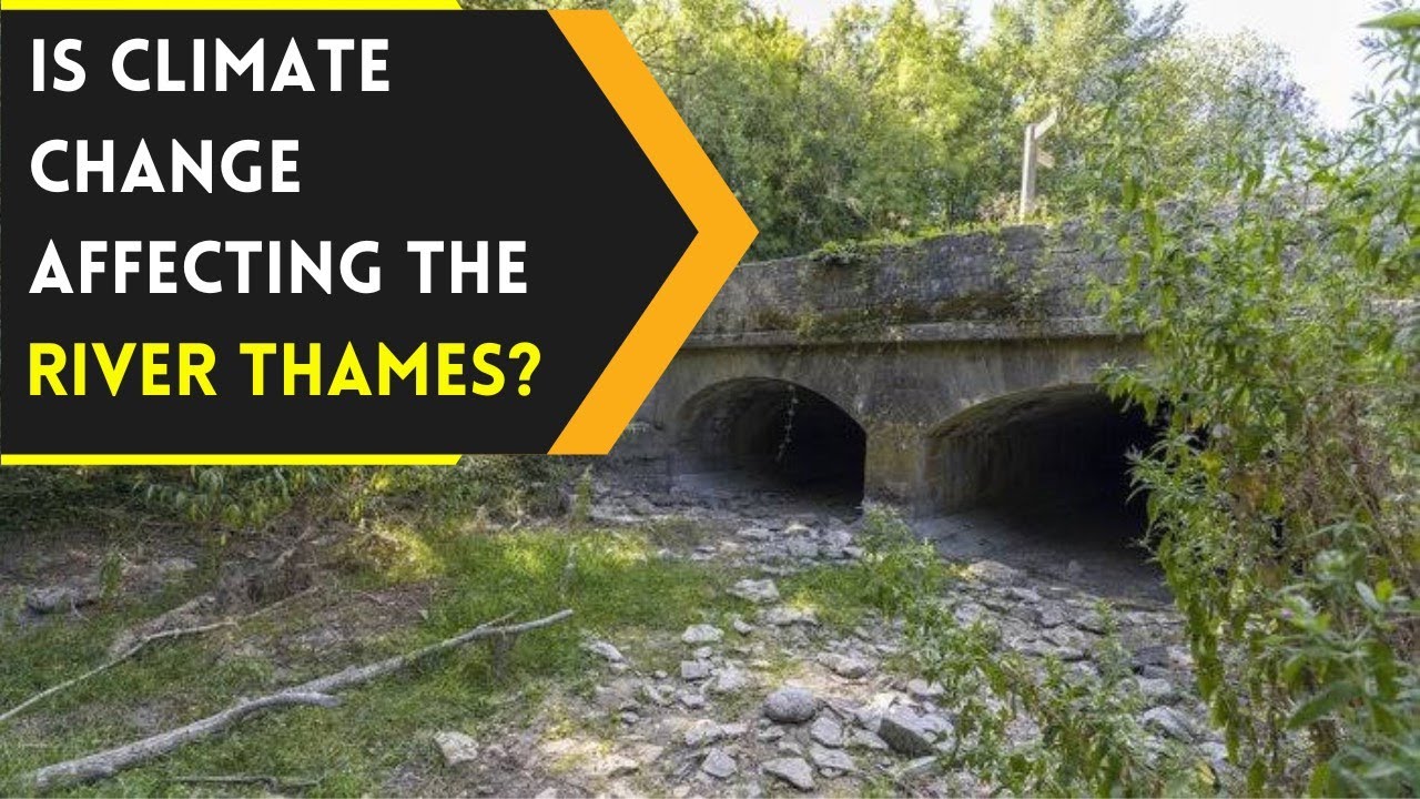 Is River Thames going to run dry amid Drought fears in Britain? | WION Originals