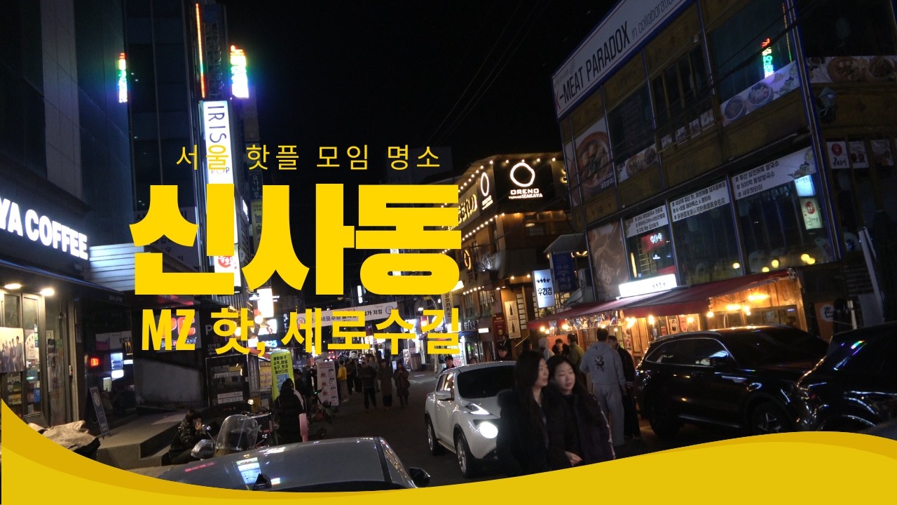 Sinsa Serosu gil Night View