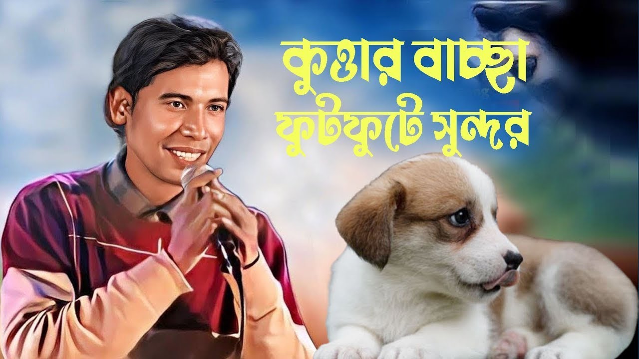 কুত্তার বাচ্চা ফুটফুটে সুন্দর | Kuttar Baccha Futfute Sundor | Official Lyrics | Bangla New Song