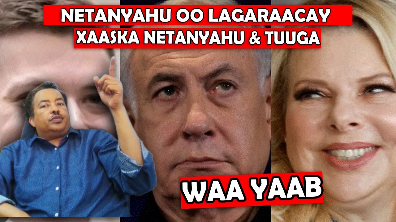 HAYAAY: GUUSHA WEYN EE SOMAALIYA USOO HOYATAY & TURKIDA OO HAWLO YAAB LEH KA WADA SOMAALIYA!