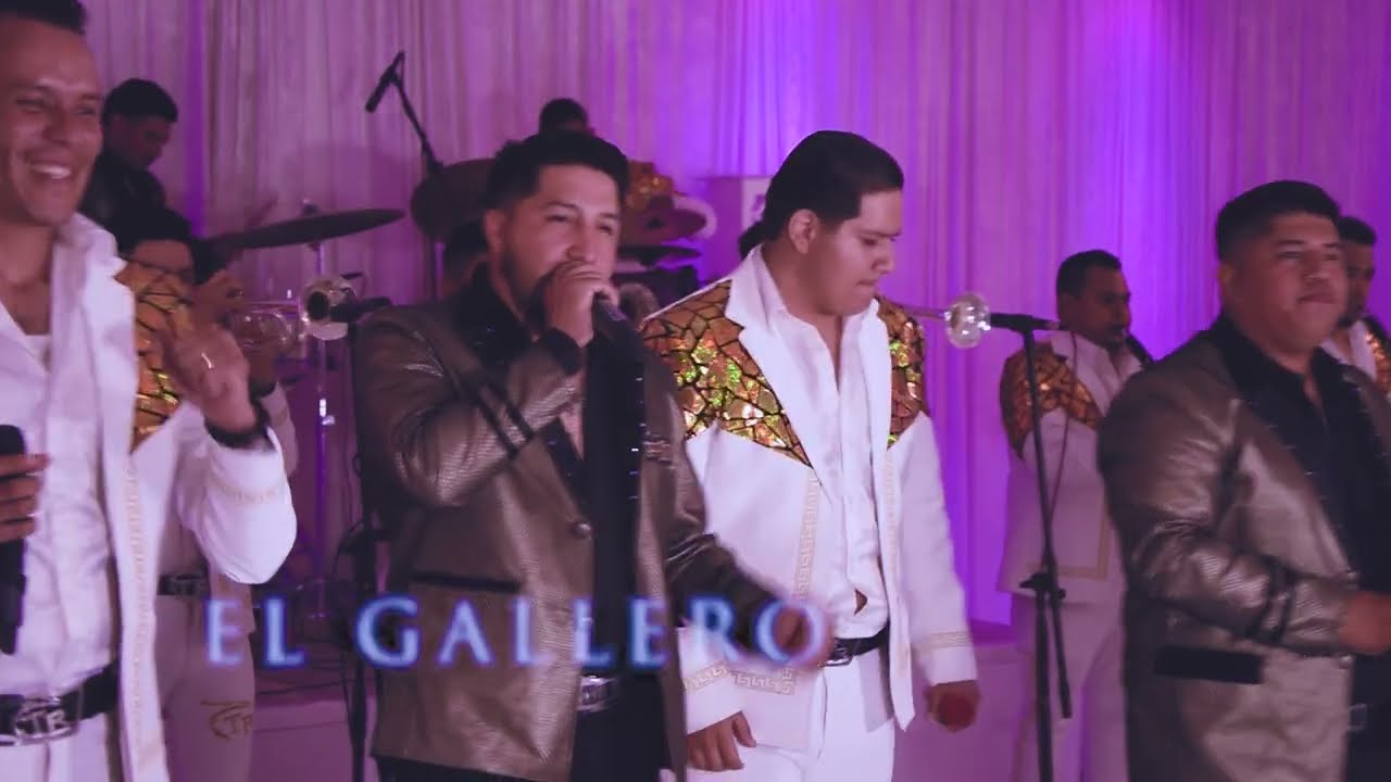 Banda El Terre ft La Proxima Banda de Chicago - El Gallero