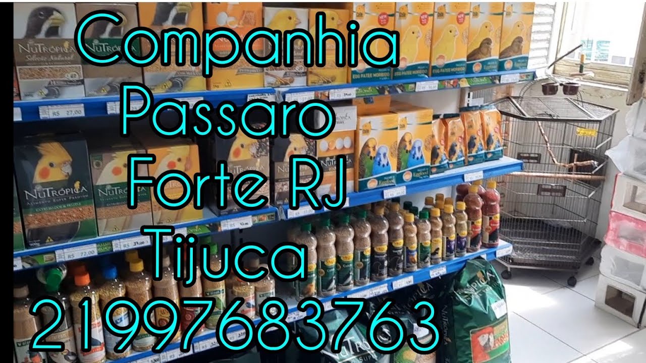Loja Passaro Forte RJ Tijuca parte 2 !!