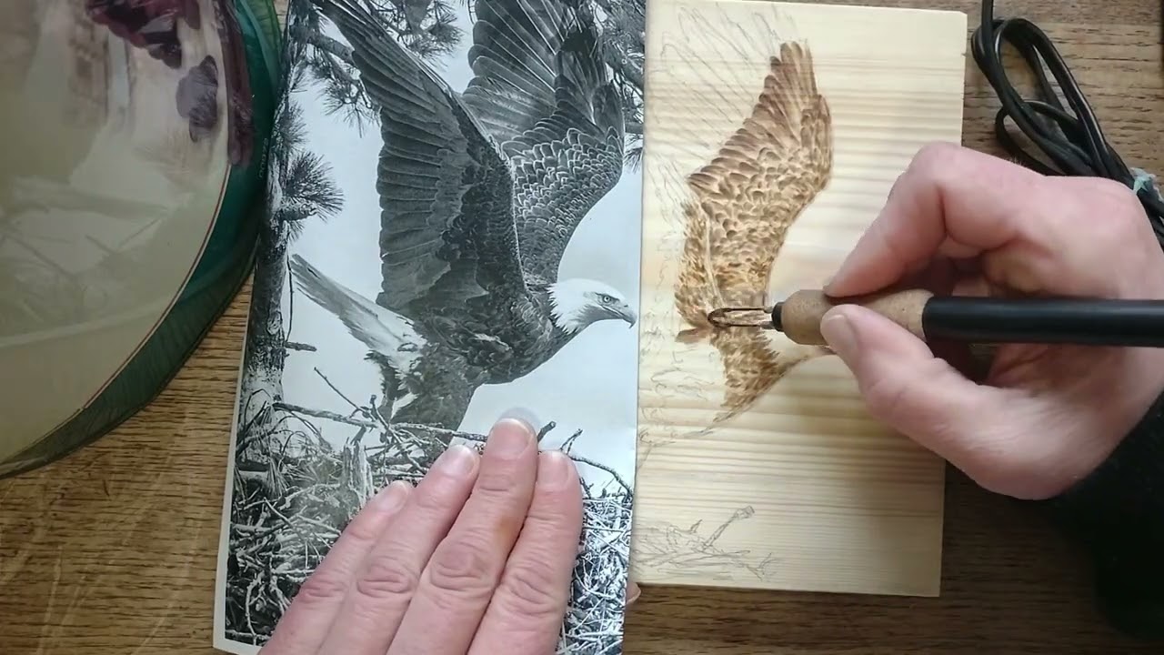 Eagle woodburning