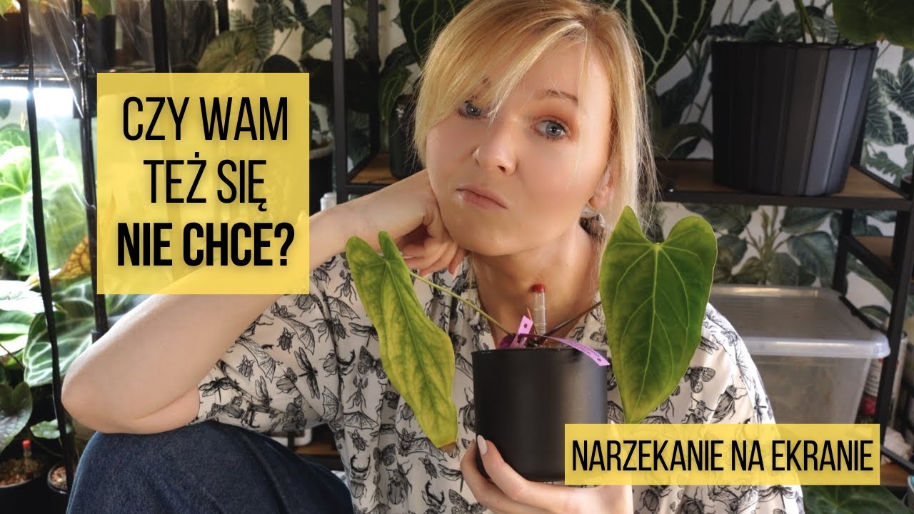 Czy Wam też się nie chce tak jak mi się nie chce? Narzekanie i przesadzanie na ekranie