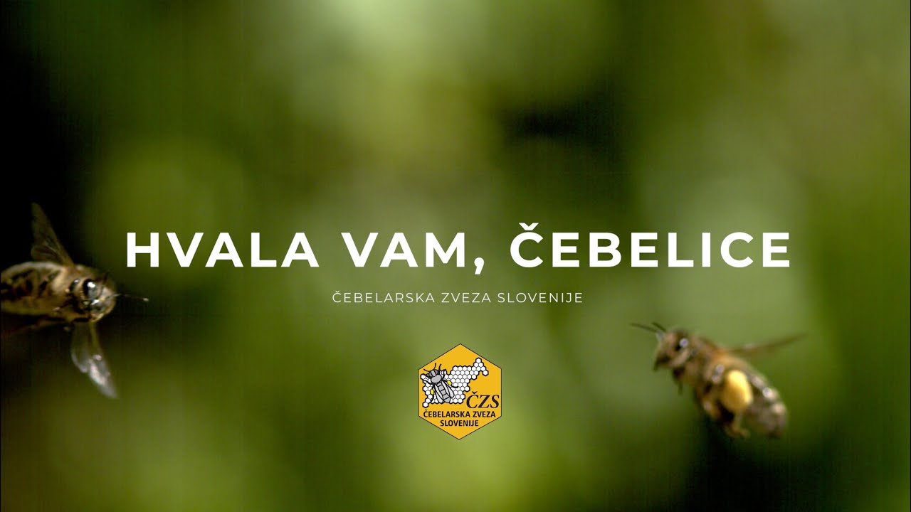 ČZS - Hvala vam, čebelice | BESEDILO